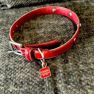 Coach dog collar. Good used condition. Reposhing.  To big for my dog.